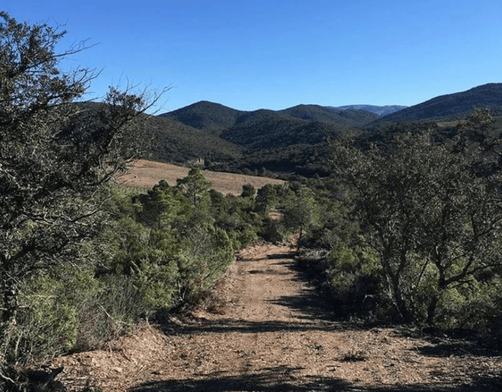 Domaine Maxime Magnon